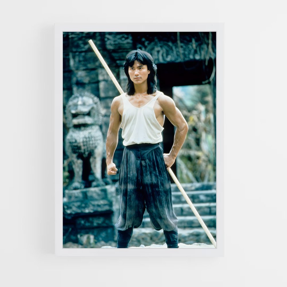 Poster Maître des Arts Martiaux – affiche Mortal kombat (vue 3)